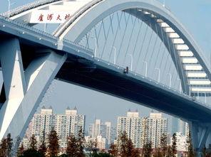 卢浦大桥爆料视频播放,网友爆料视频揭示惊人真相