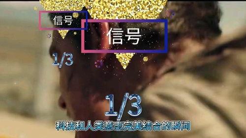 信号1在线观看,在线解锁悬疑剧情，揭秘神秘事件背后的真相